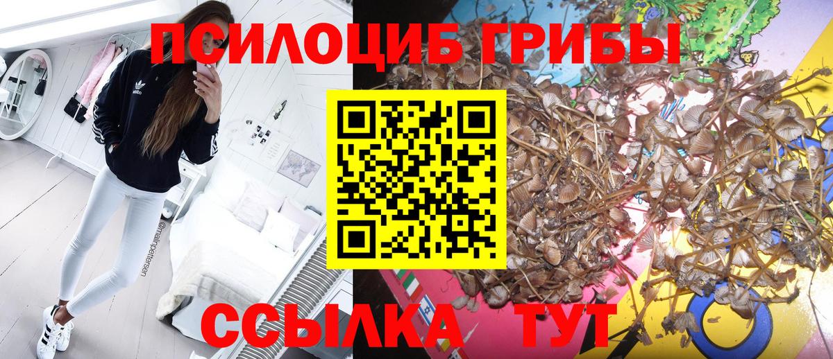 Галлюциногенные грибы Cubensis  Вход с VPN  Бутурлиновка 