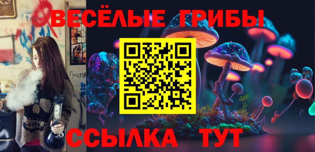 Псилоцибиновые грибы Psilocybe Бутурлиновка